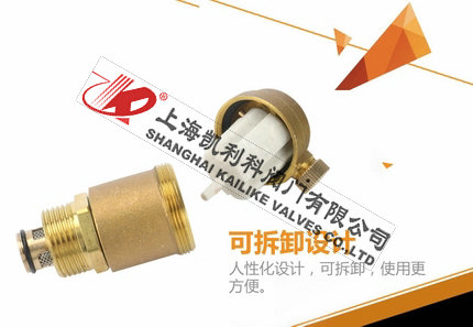 AVAX自動(dòng)排氣閥可拆卸設計